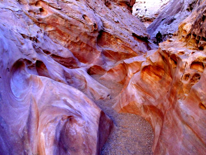 04160302LittleWildHorse (1092)